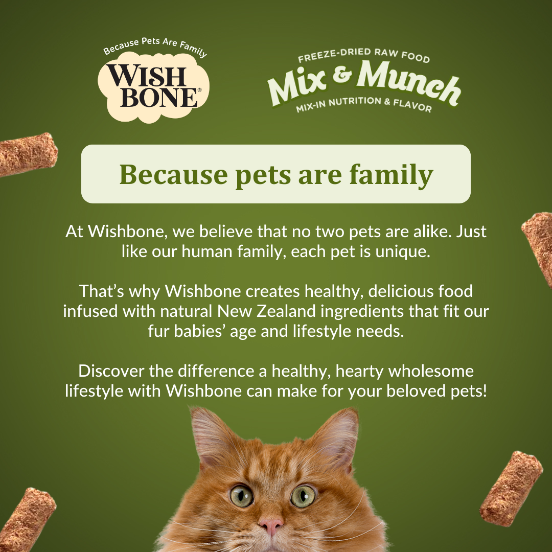 Wishbone 羊肉、山羊肉和雞肉凍乾貓用生食配料 350g